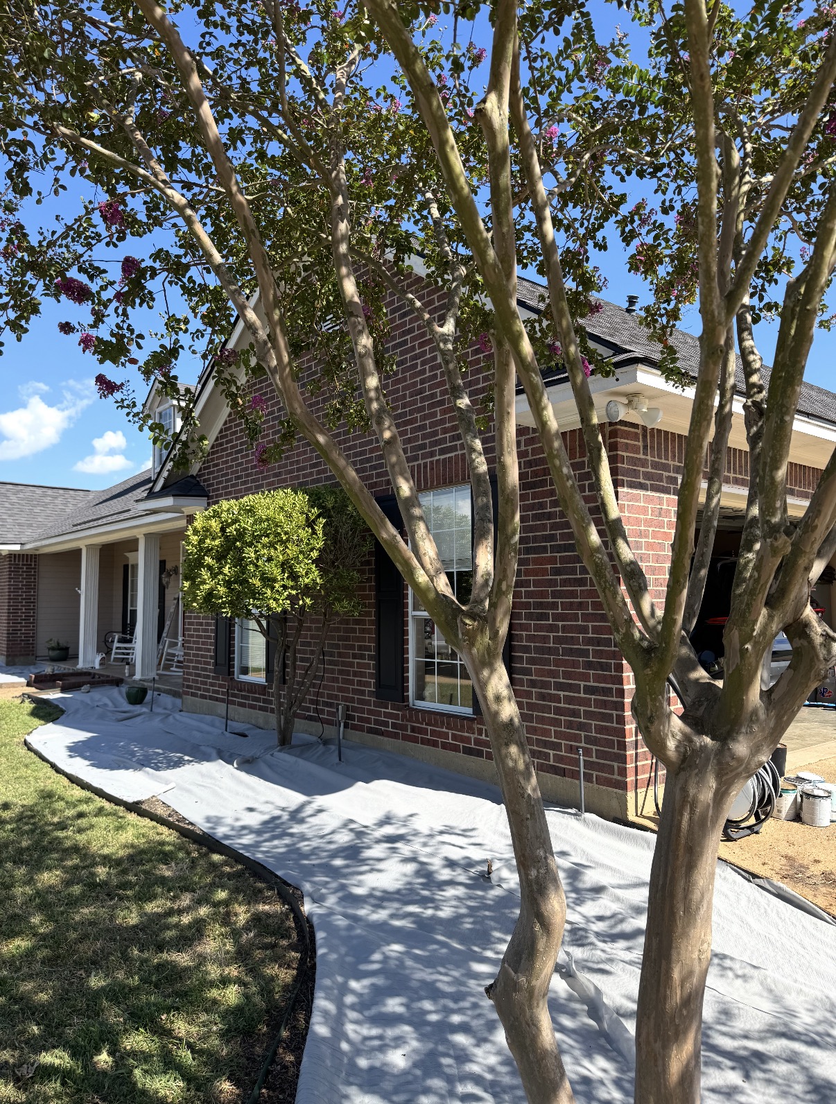 Tree bed prep & fresh mulch — before