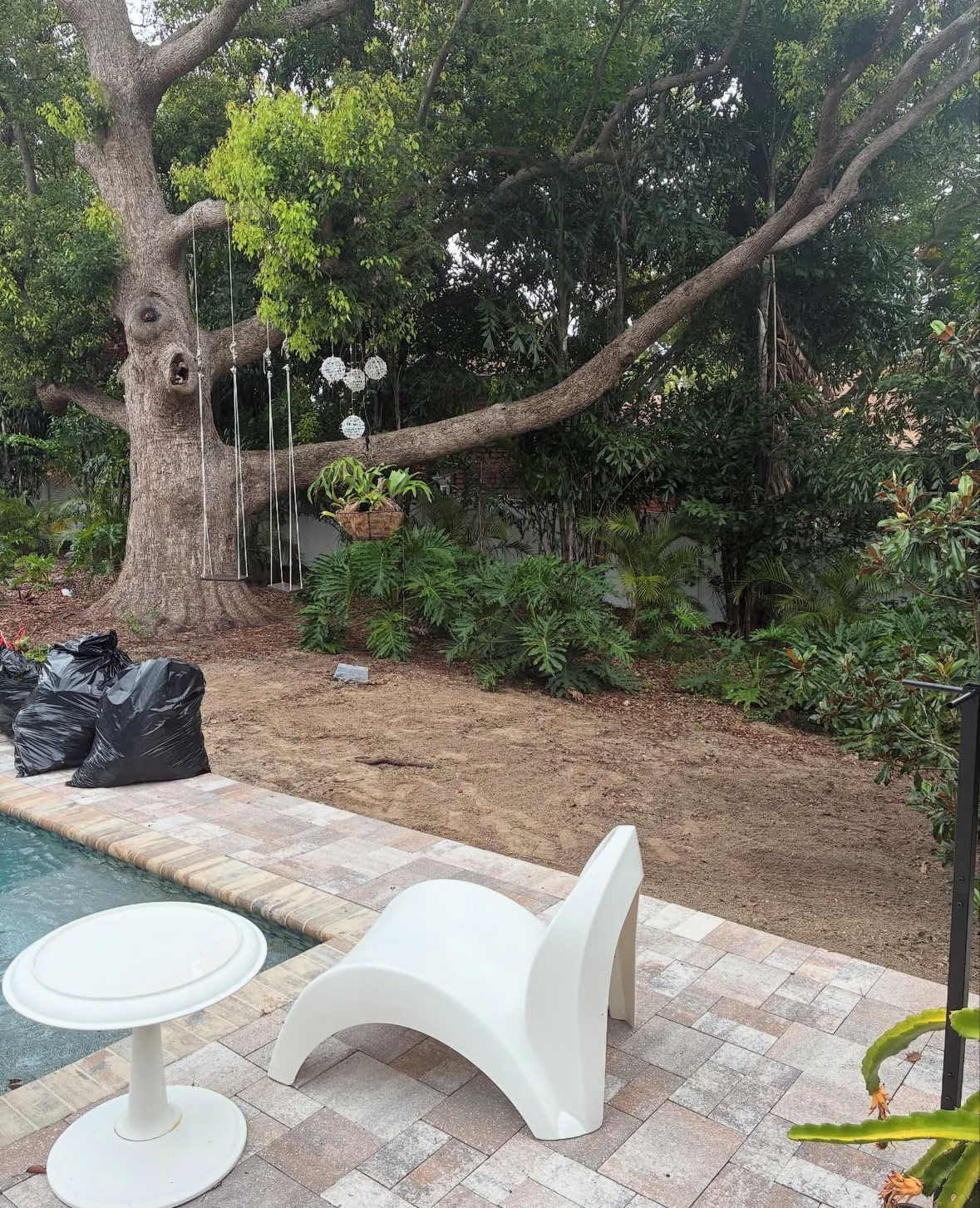 Poolside clearing & cleanup — after